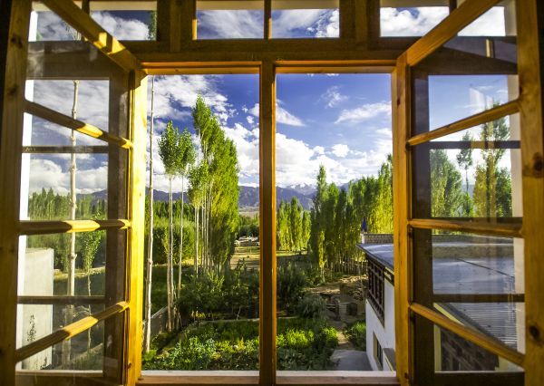 Wood Window Replacement in El Cajon