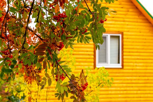 Cost of Garden Window Replacement in El Cajon